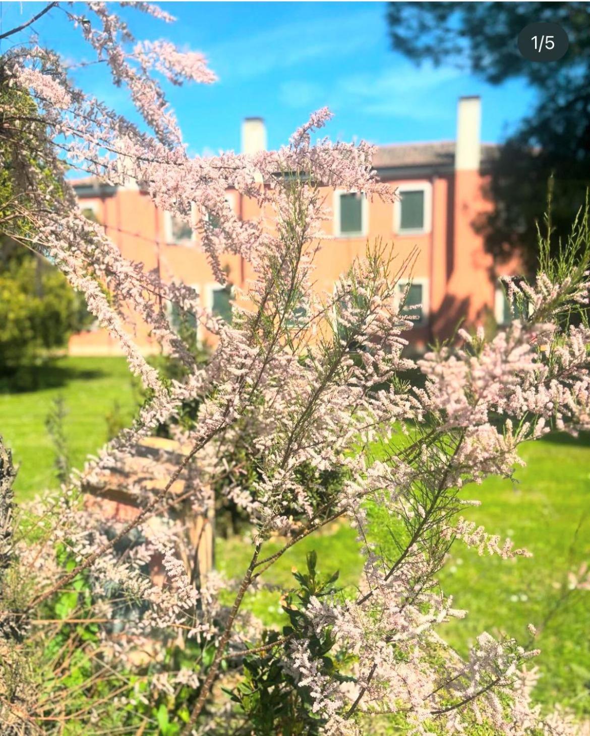 Agriturismo Ca' Bonelli 1924 Скардовари Экстерьер фото